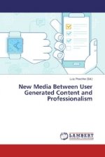 New Media Between User Generated Content and Professionalism