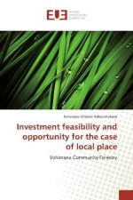 Investment feasibility and opportunity for the case of local place