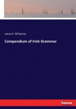 Compendium of Irish Grammar