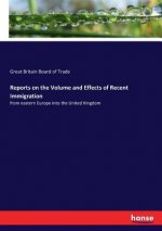 Reports on the Volume and Effects of Recent Immigration