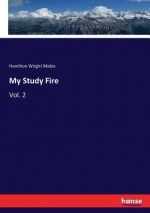 My Study Fire
