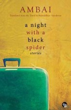 Night with a Black Spider