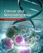 Cancer and Noncoding RNAs