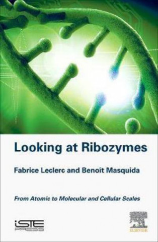 Looking at Ribozymes
