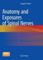 Anatomy and Exposures of Spinal Nerves