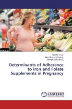 Determinants of Adherence to Iron and Folate Supplements in Pregnancy