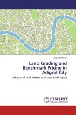 Land Grading and Benchmark Pricing in Adigrat City