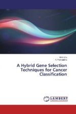 A Hybrid Gene Selection Techniques for Cancer Classification