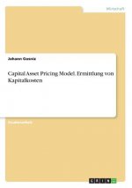 Capital Asset Pricing Model. Ermittlung von Kapitalkosten