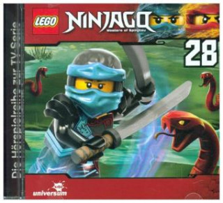 LEGO® Ninjago Teil 28