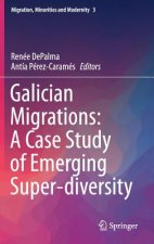 Galician Migrations: A Case Study of Emerging Super-diversity