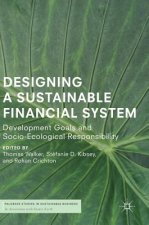 Designing a Sustainable Financial System