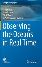 Observing the Oceans in Real Time