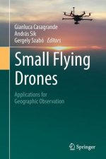 Small Flying Drones