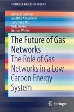 Future of Gas Networks