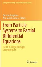 From Particle Systems to Partial Differential Equations