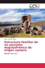Estructura familiar de un paciente esquizofrénico de origen aymara