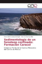 Sedimentología de un foredeep confinado: Formación Caracol