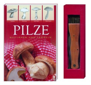 PILZE - Bestimmen und Sammeln