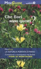 Fiori di montagna
