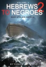 Hebrews to Negroes 2 Volume 3