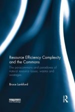 Resource Efficiency Complexity and the Commons