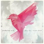 Big sky,little bird