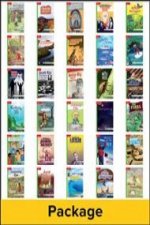 Reading Wonders, Grade 4, Leveled Reader Package (1 EA. of 30) Beyond, Grade 4