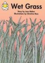Story Box, Wet Grass
