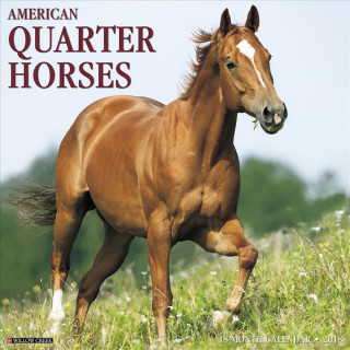 CAL 2018-AMER QUARTER HORSES W