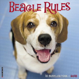 Beagle Rules 2018 Wall Calendar (Dog Breed Calendar)