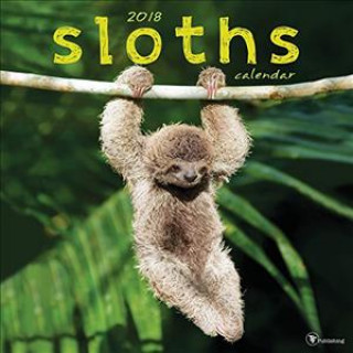 Sloths 2018 Wall Calendar