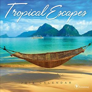 Tropical Escapes 2018 Mini Wall Calendar