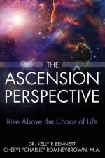 The Ascension Prespective: Rise Above the Chaos of Life