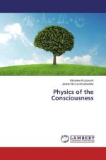 Physics of the Consciousness