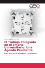 El Trabajo Colegiado en el ámbito Universitario: Una Agenda Pendiente