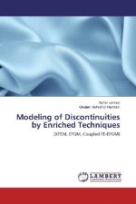 Modeling of Discontinuities by Enriched Techniques