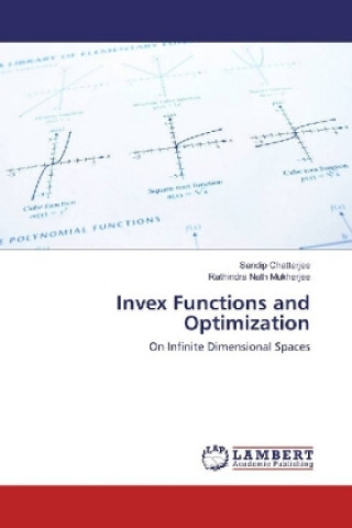 Invex Functions and Optimization