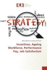 Incentives, Ageing Workforce, Performance Pay, Job Satisfaction