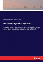 Second Synod of Ephesus