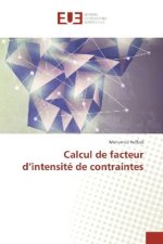 Calcul de facteur d'intensité de contraintes
