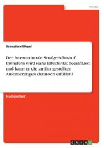 Der Internationale Strafgerichtshof. Inwiefern wird seine Effektivität beeinflusst und kann er die an ihn gestellten Anforderungen dennoch erfüllen?