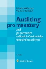 Auditing pro manažery