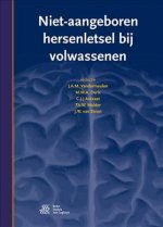 Niet-aangeboren hersenletsel bij volwassenen