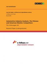 Automotive Industry Analysis. The Chinese and American Market, Competitors