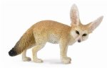 Lis fennec