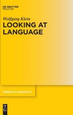 Looking at Language