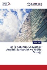 Bir s Kolunun Sosyolojik Analizi: Bankac l k ve Nigde Örnegi