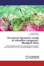 Structural dynamics study of ultrathin Langmuir-Blodgett films