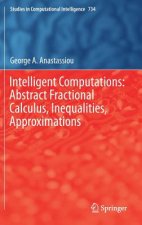 Intelligent Computations: Abstract Fractional Calculus, Inequalities, Approximations